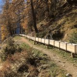 La réhabilitation du Grand Bisse de St-Luc permet d'irriguer 12 hectares de terres agricoles